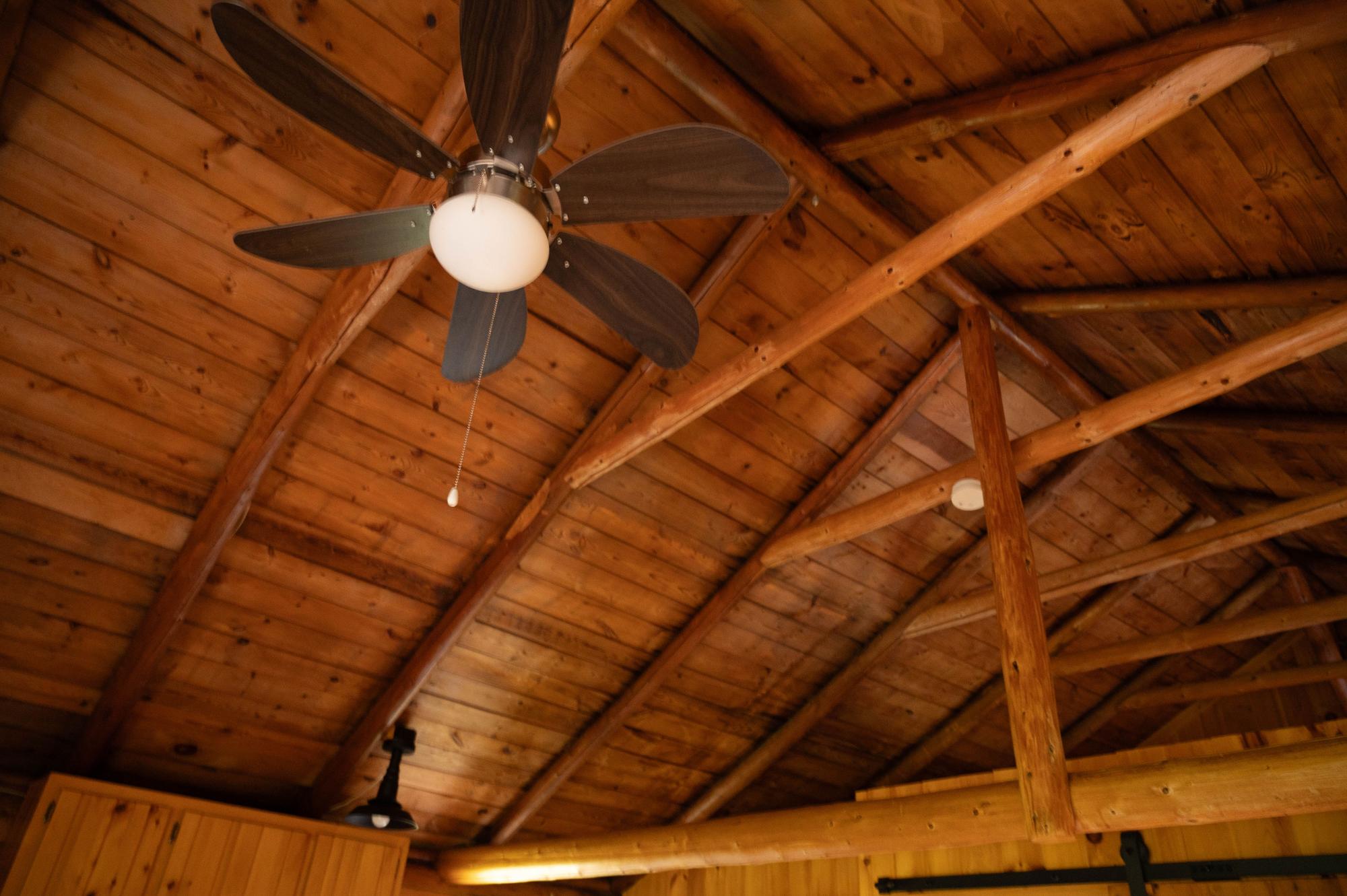Ceiling fan