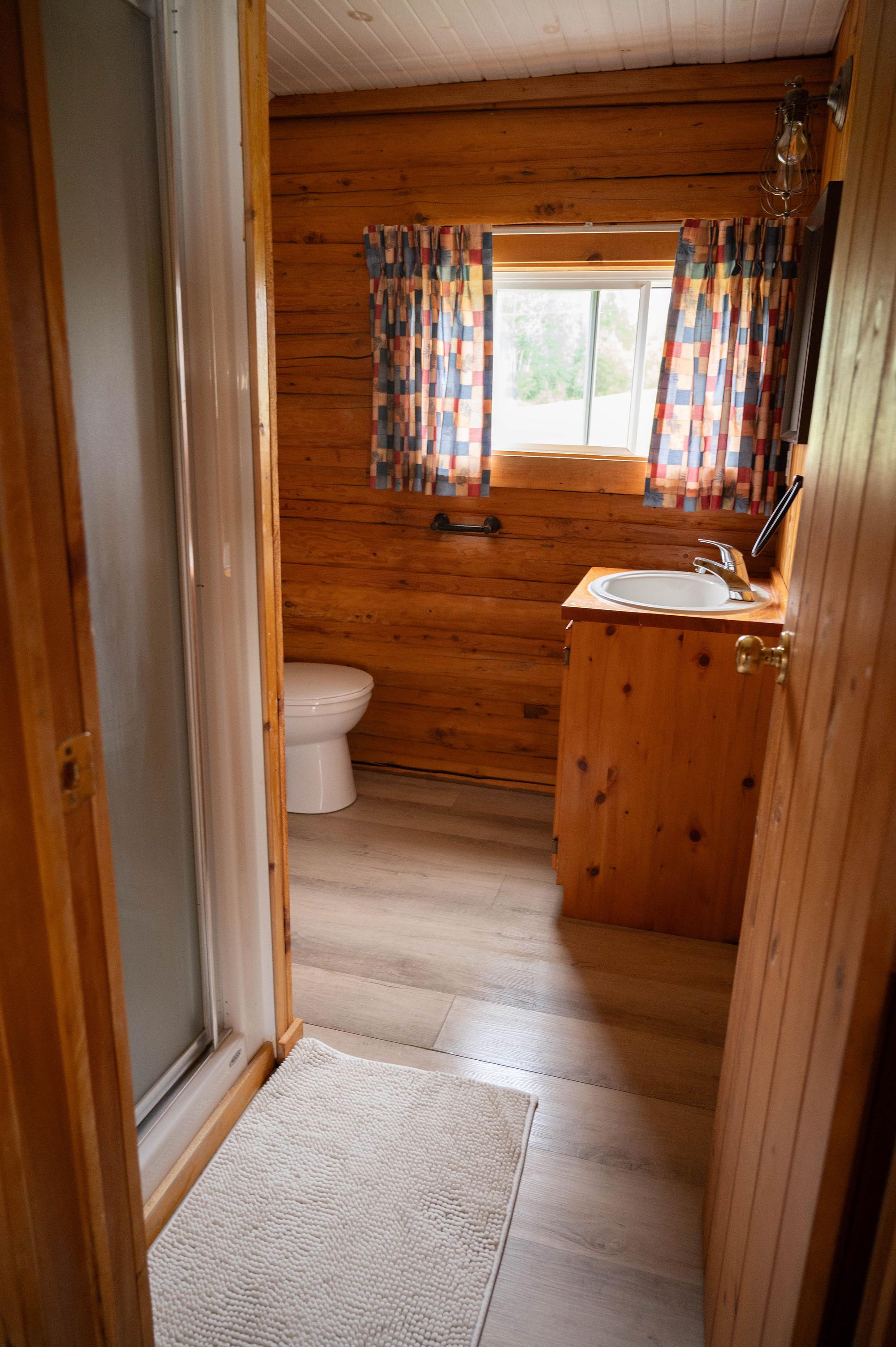 Cabin bathroom and sink