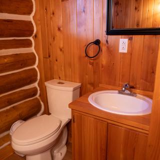 Bathroom sink and toilet