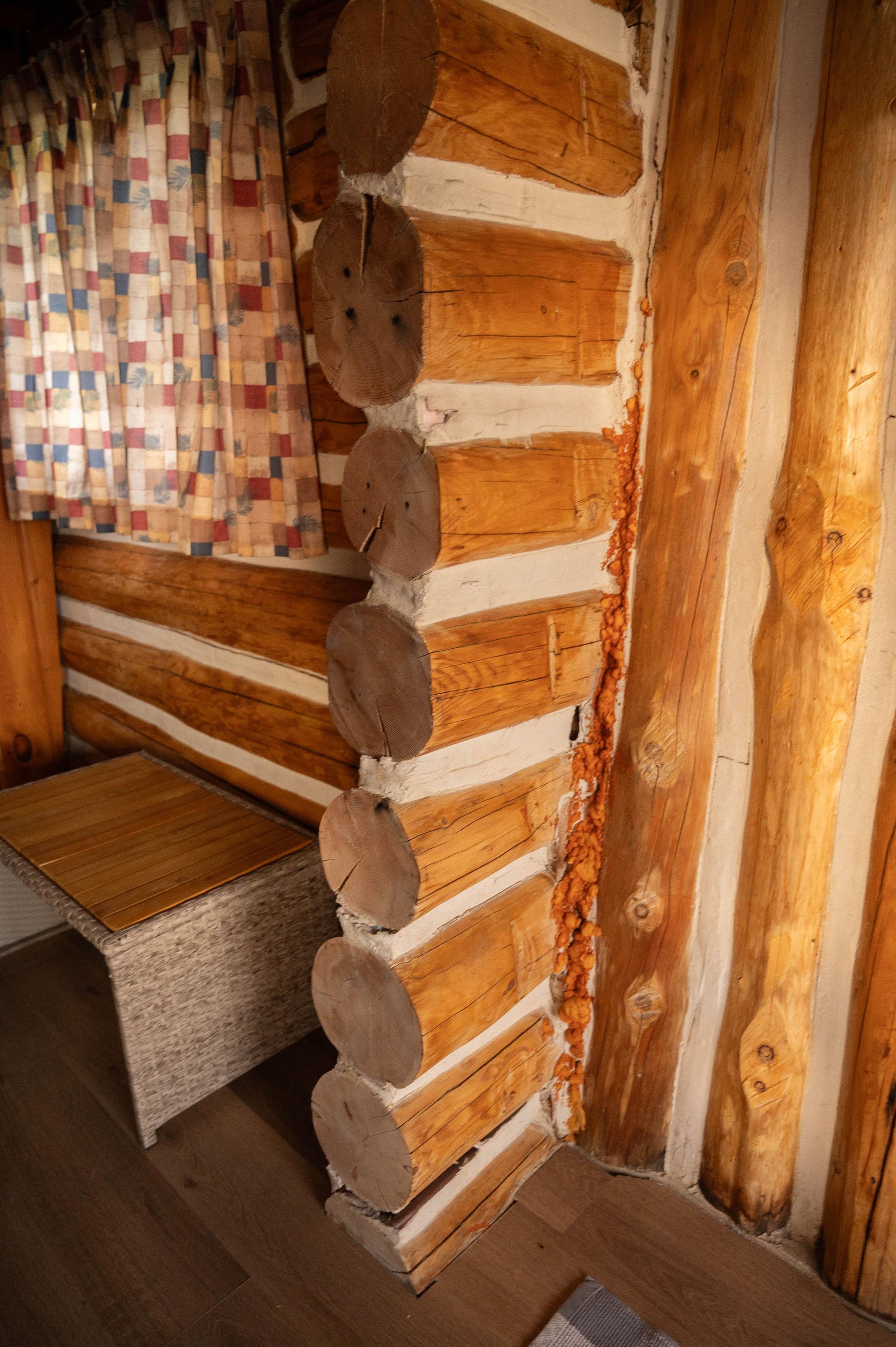 Log corner construction