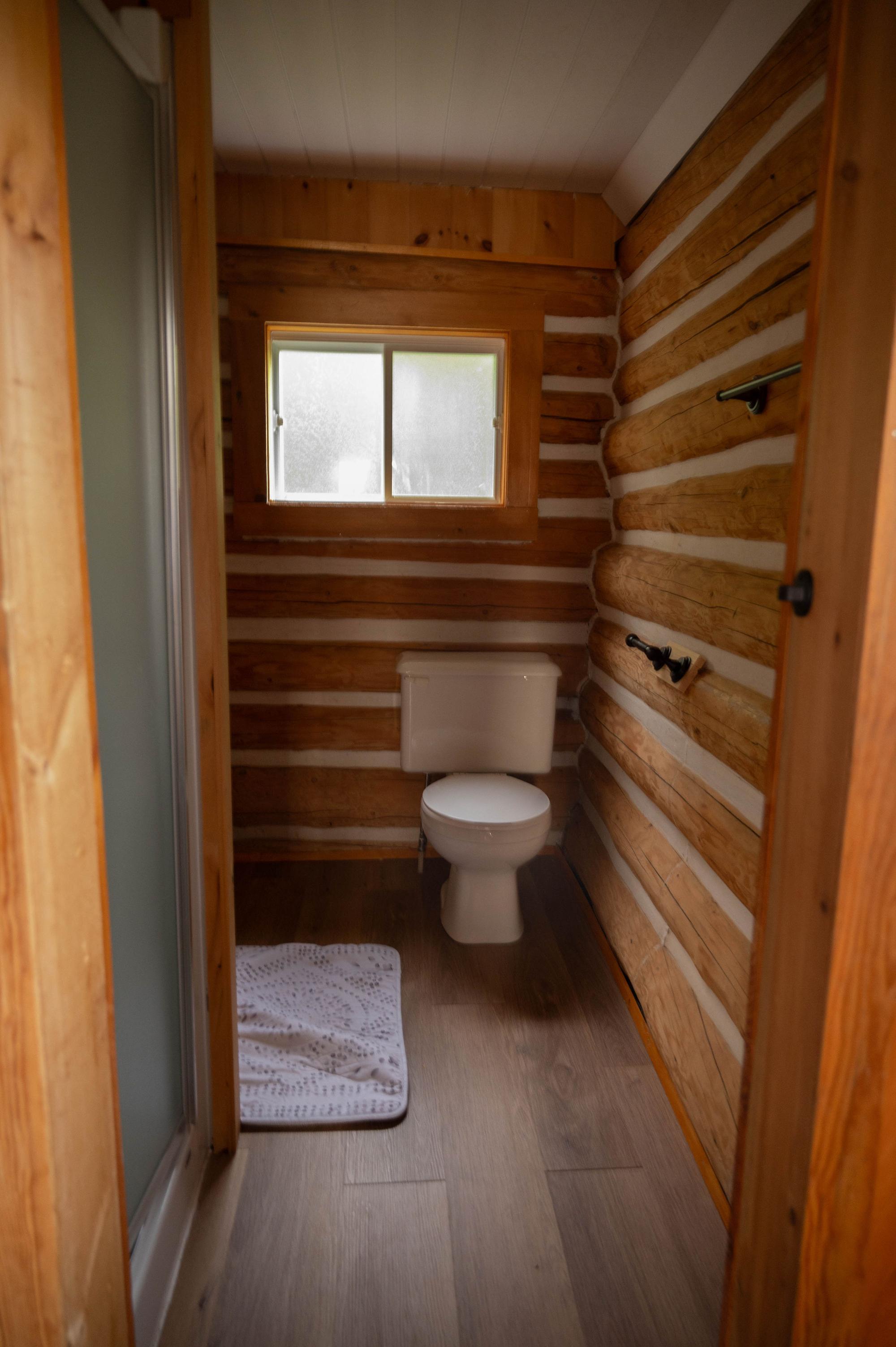 Bathroom toilet and shower