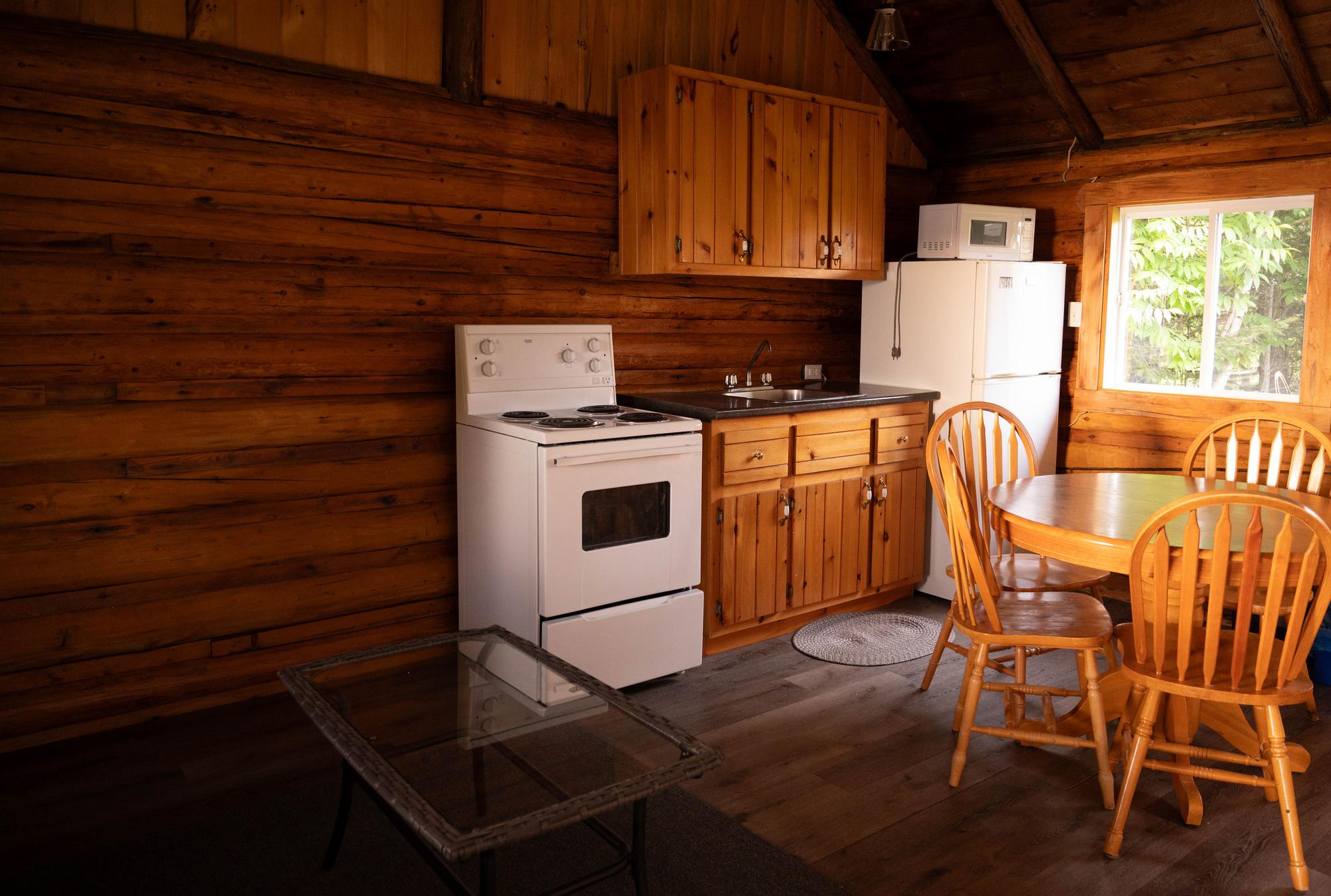 Kitchen stove and fridge