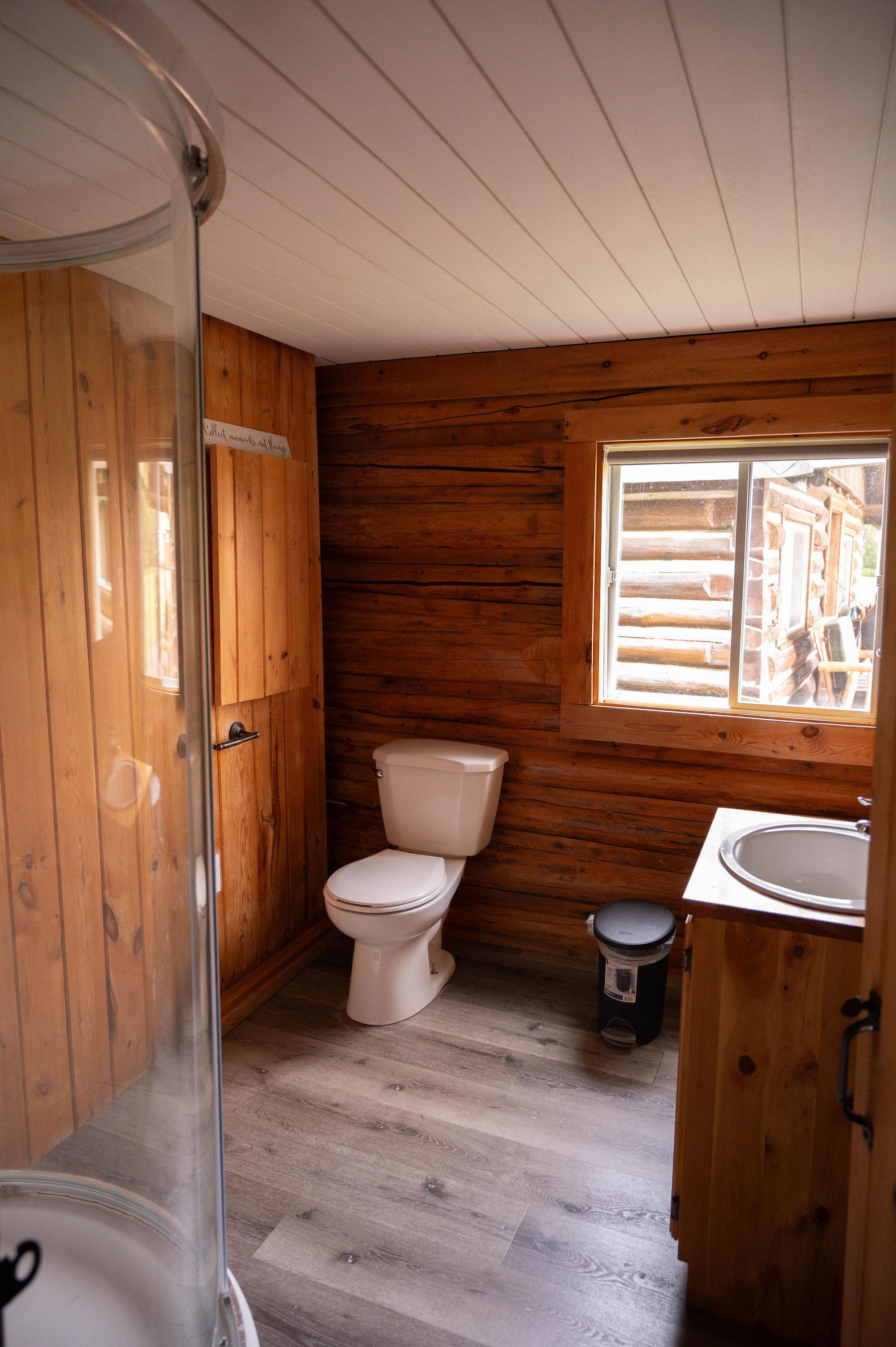 Bathroom toilet and shower